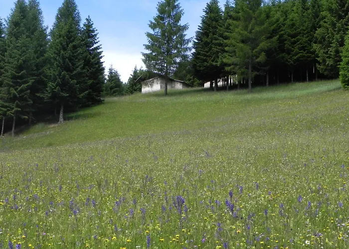 Hotel Isolabella Wellness