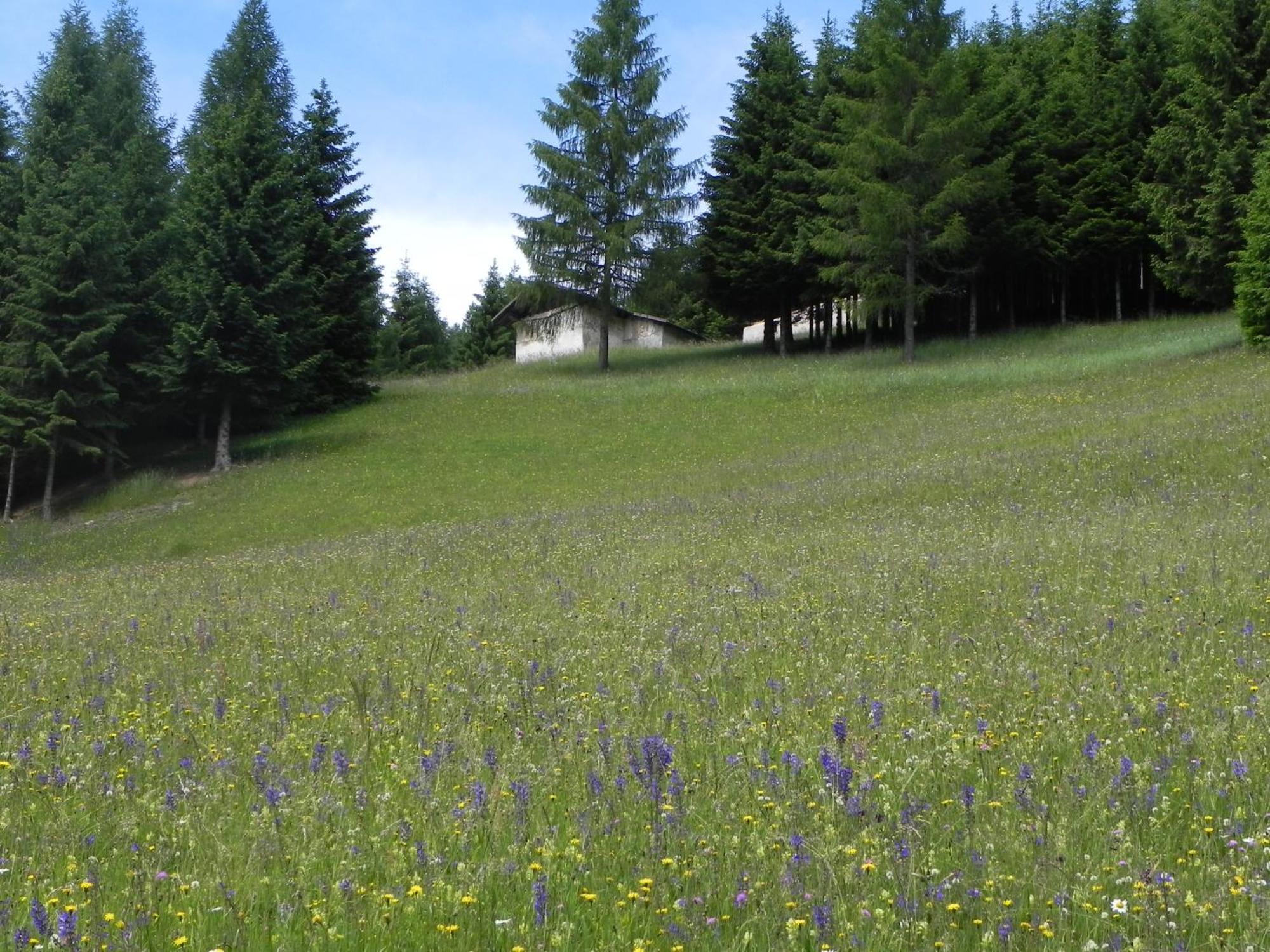 Isolabella Wellness Hotel 4*